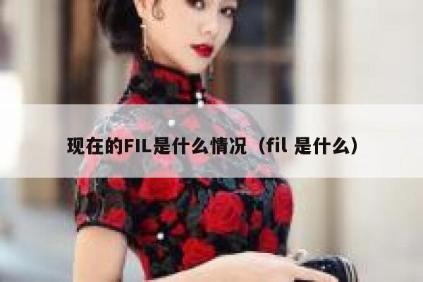 现在的FIL是什么情况(fil 是什么)