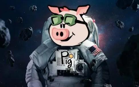 pig币官方版下载链接 pig币下载官方APP手机