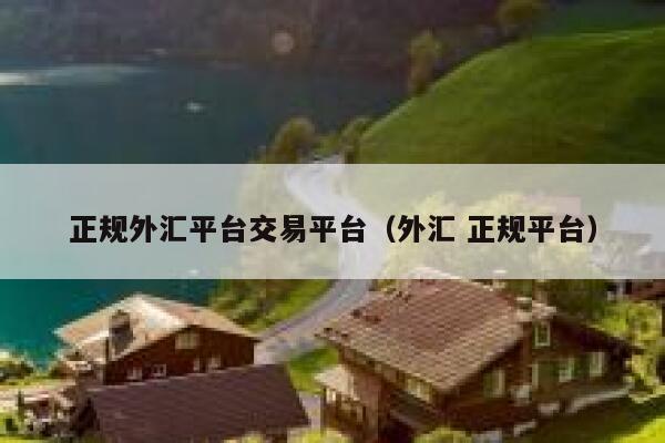 正规外汇平台交易平台(外汇 正规平台)