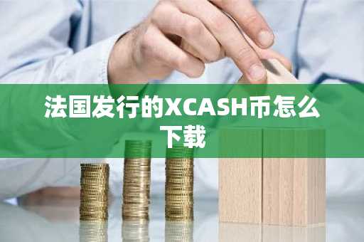 法国发行的XCASH币怎么下载