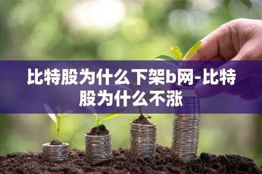 比特股为什么下架b网-比特股为什么不涨