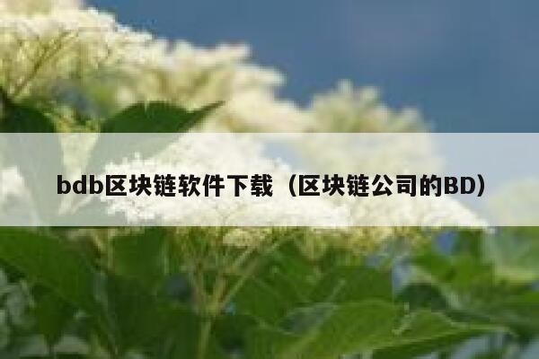 bdb区块链软件下载（区块链公司的BD）