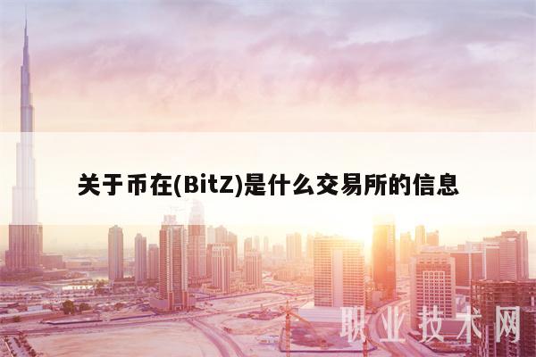 关于币在 - BitZ是什么交易所的信息