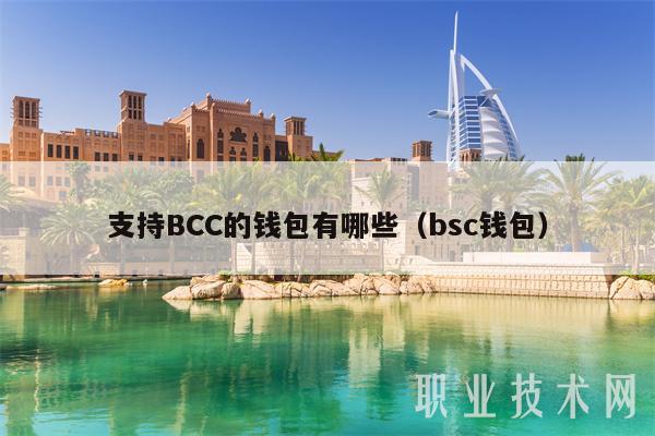 支持BCC的钱包有哪些（bsc钱包）