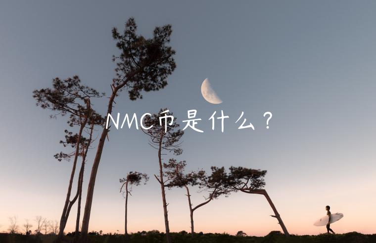 NMC币是什么?