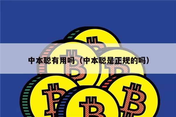 中本聪有用吗(中本聪是正规的吗)