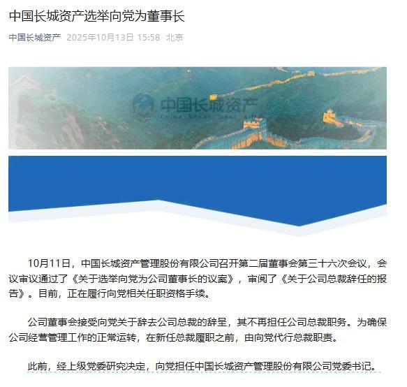 中国长城资产：选举向党为董事长