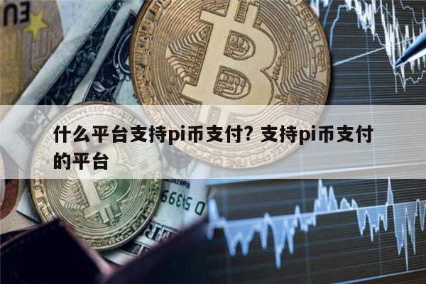 paypal支持pi币吗 国内哪些地方支持pi币支付