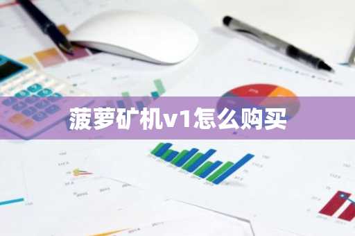 菠萝矿机v1怎么购买