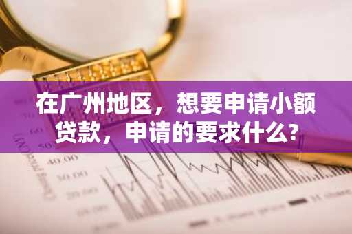 在广州地区，想要申请小额贷款，申请的要求什么?