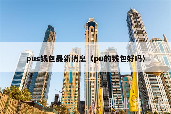 pus钱包最新消息（pu的钱包好吗）