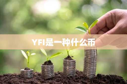 YFI是一种什么币