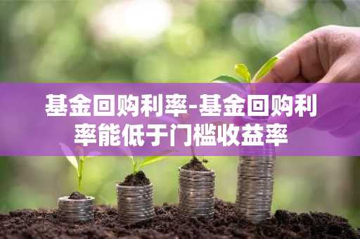 基金回购利率-基金回购利率能低于门槛收益率