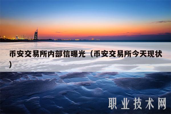 币安交易所内部信曝光(币安交易所今天现状)