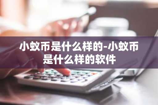 小蚁币是什么样的-小蚁币是什么样的软件