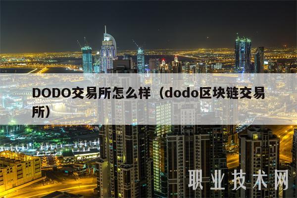 DODO交易所怎么样（dodo区块链交易所）