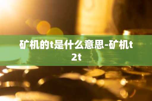 矿机的t是什么意思-矿机t2t