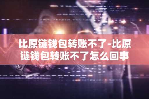 比原链钱包转账不了-比原链钱包转账不了怎么回事