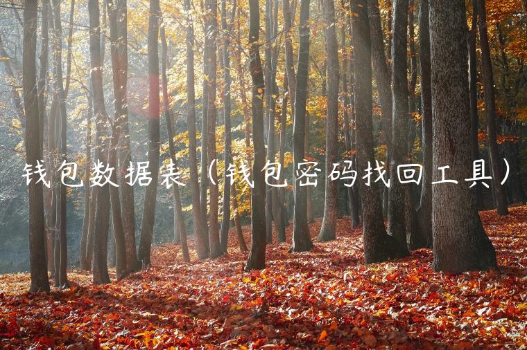 钱包数据表(钱包密码找回工具)