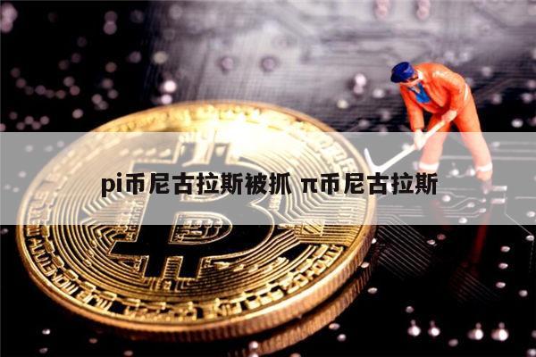 pi币尼古拉斯被抓了嘛 π币是否合法