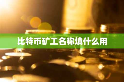 比特币矿工名称填什么用