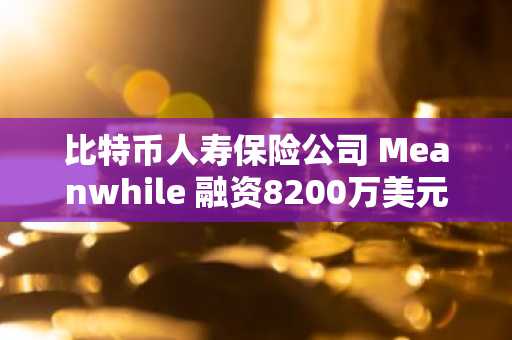 比特币人寿保险公司 Meanwhile 融资8200万美元以对抗通胀型储蓄的激增需求