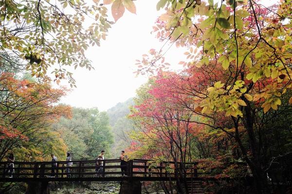 超23亿人次将踏上旅途!创意文旅点燃中国旅游市场