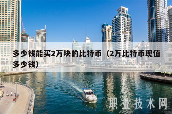 多少钱能买2万块的比特币（2万比特币现值多少钱）