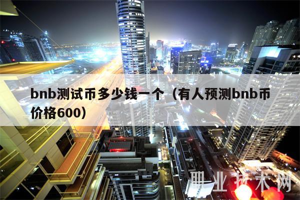 bnb测试币多少钱一个（有人预测bnb币价格600）