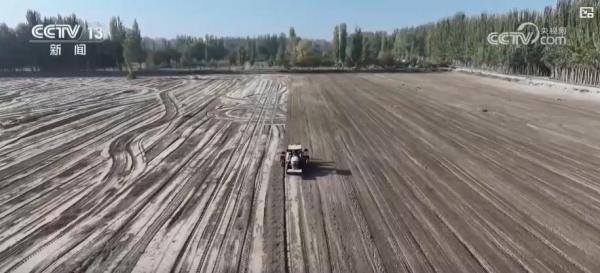 不误农时！全国秋粮主产区收获已超八成半 冬小麦播种陆续展开