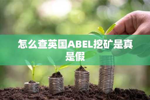 怎么查英国ABEL挖矿是真是假