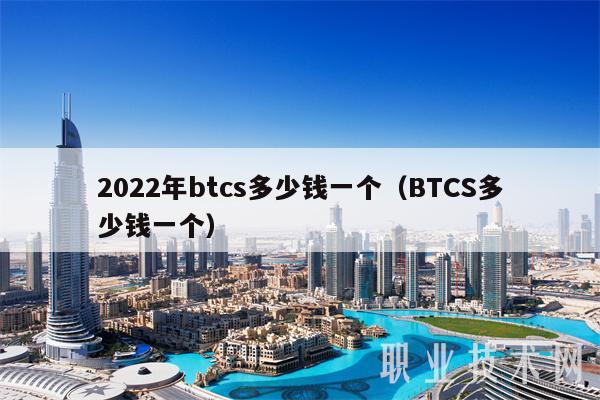 2022年btcs多少钱一个(BTCS多少钱一个)