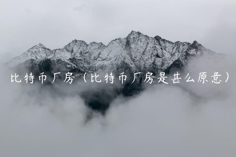 比特币厂房(比特币厂房是甚么原意)