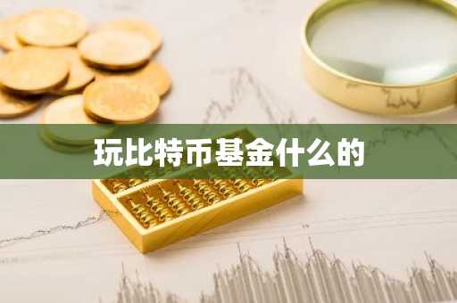 玩比特币基金什么的
