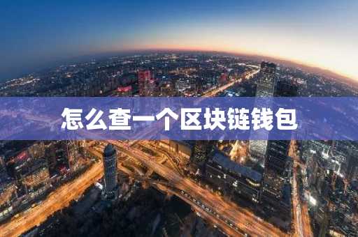 怎么查一个区块链钱包