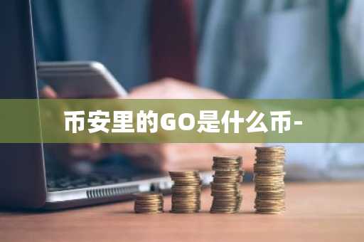 币安里的GO是什么币-