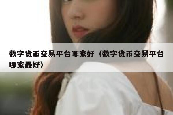 数字货币交易平台哪家好（数字货币交易平台哪家最好）
