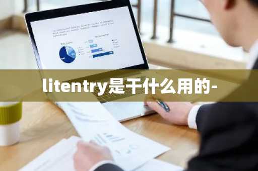 litentry是干什么用的-