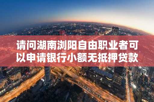 请问湖南浏阳自由职业者可以申请银行小额无抵押贷款？