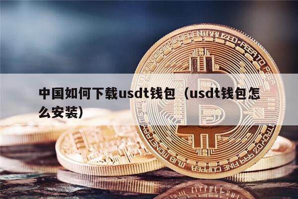 中国如何下载usdt钱包(usdt钱包怎么安装)