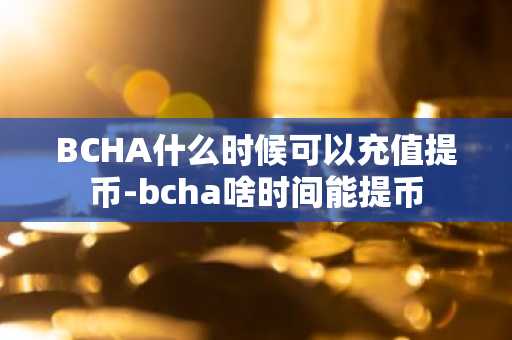 BCHA什么时候可以充值提币-bcha啥时间能提币