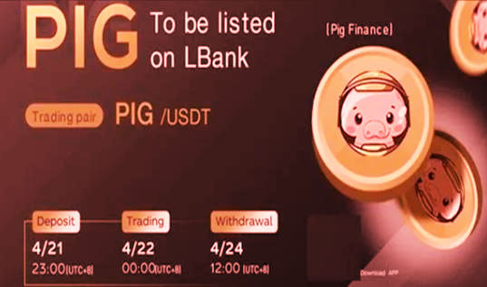 猪币最新版下载ios内测版 pig币app去哪里可以下载