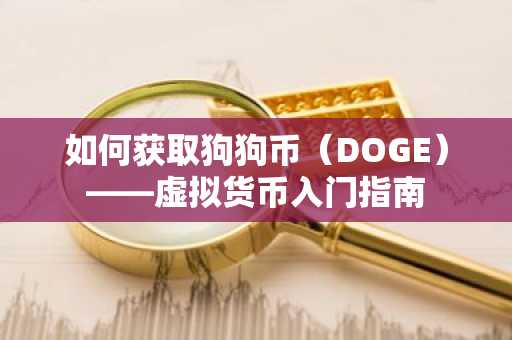 如何获取狗狗币（DOGE）——虚拟货币入门指南