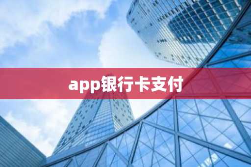 app银行卡支付