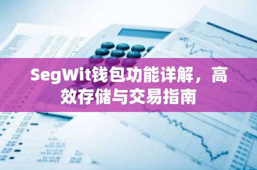 SegWit钱包功能详解，高效存储与交易指南