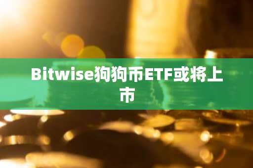 Bitwise狗狗币ETF或将上市