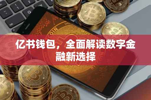 亿书钱包，全面解读数字金融新选择
