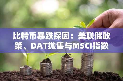 比特币暴跌探因：美联储政策、DAT抛售与MSCI指数剔除担忧成主因