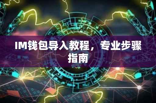 IM钱包导入教程，专业步骤指南