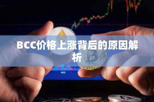 BCC价格上涨背后的原因解析